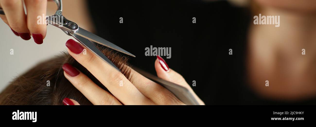 Female master put hair together and cut with scissors tool Stock Photo