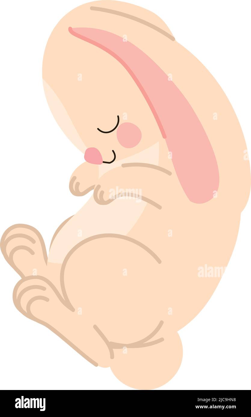 sleepy bunny design Stock Vector Image & Art - Alamy