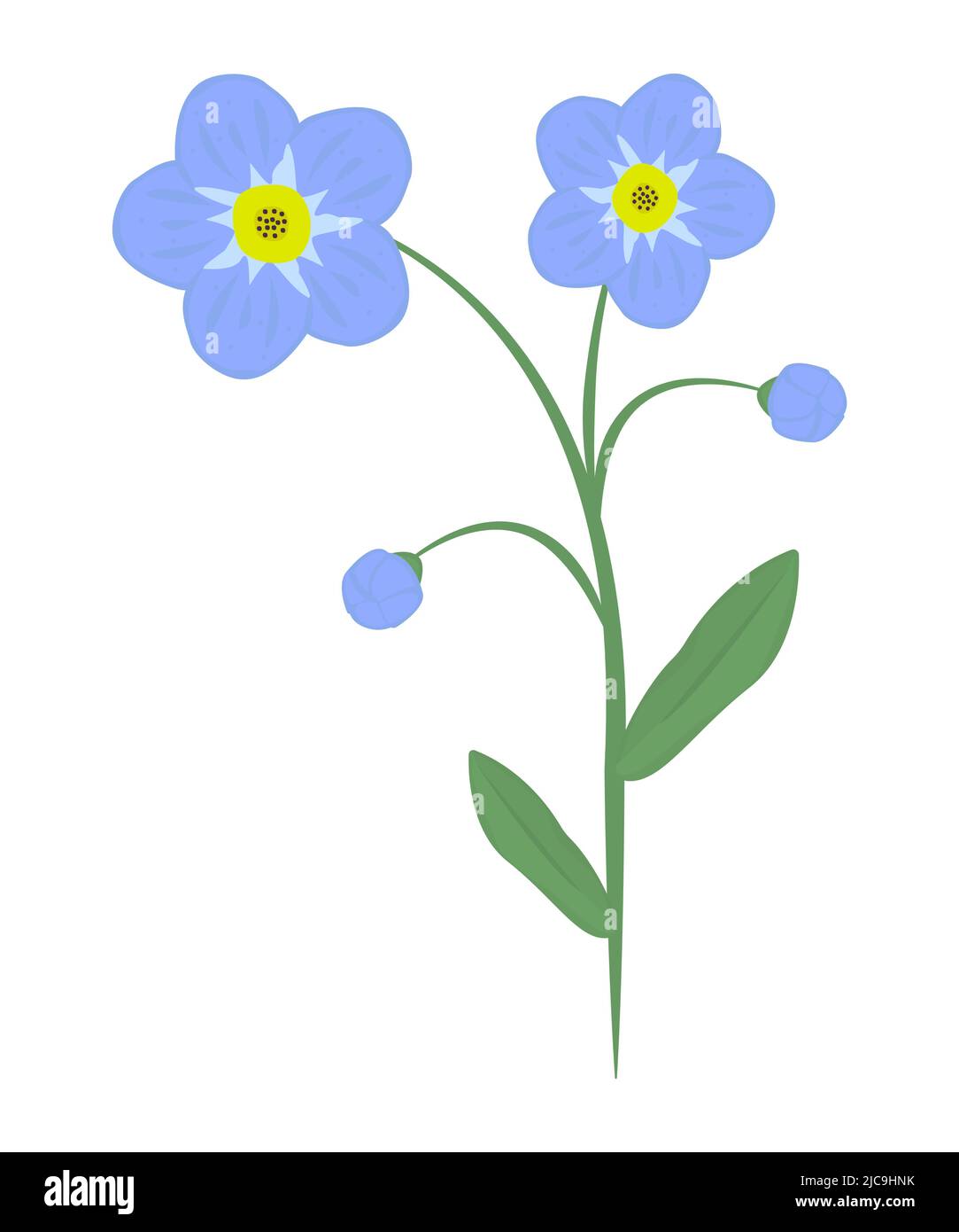 flowers and leaves, colorful illustration Stock Vector