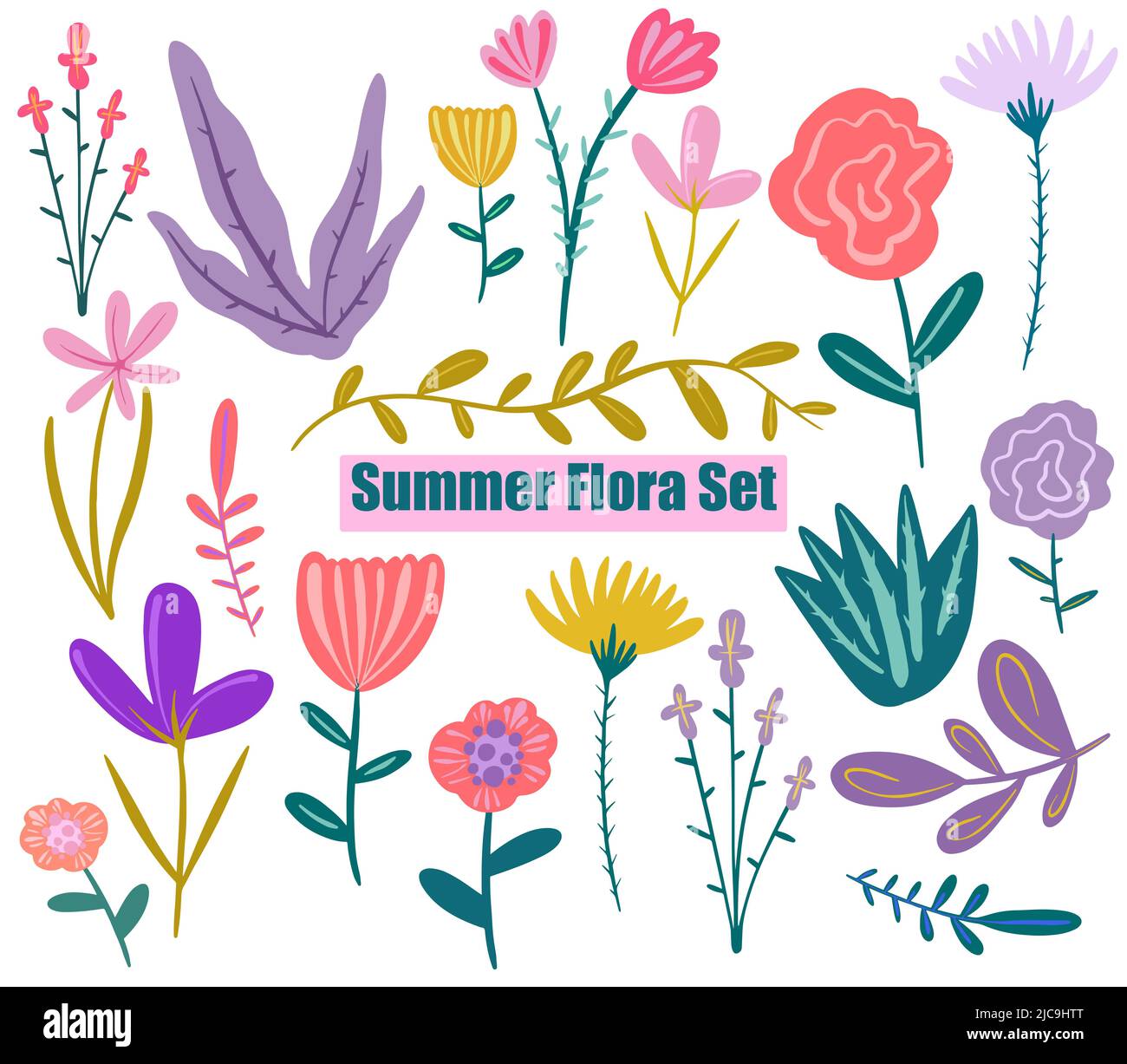 Wild flowers. Sketch wildflowers and herbs nature botanical elements. Hand  drawn summer field flowering vector set. Illustration of floral field, wild  flower white black line Stock Vector