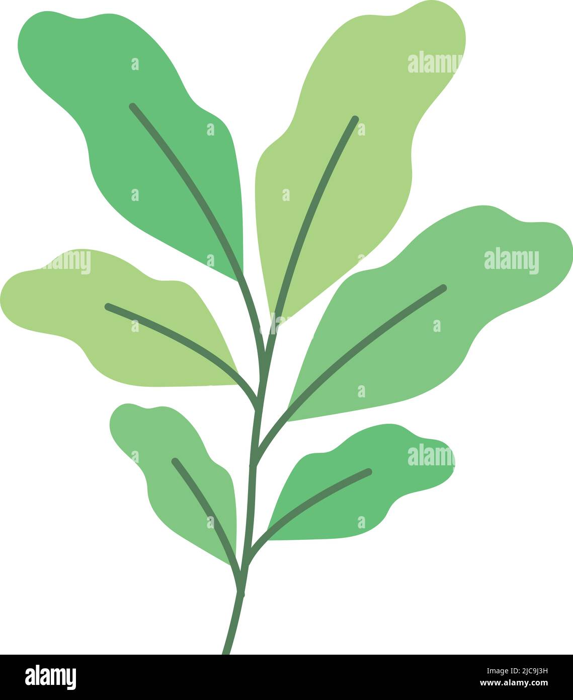 plant with leaves Stock Vector Image & Art - Alamy