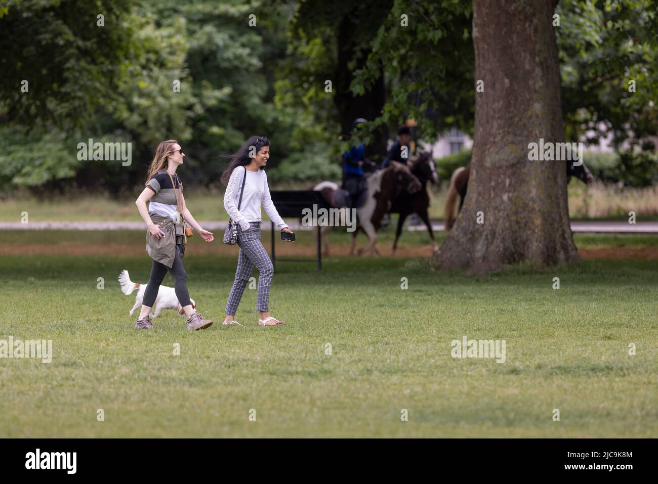 women walking through Hyde Park, London UK with their dog Stock Photo