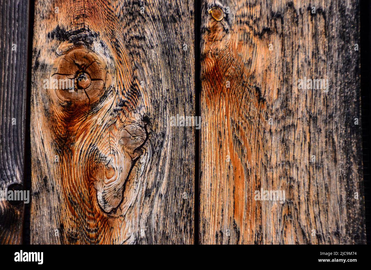 Wooden background, vintage rotten planks that survived on an old 18th ...