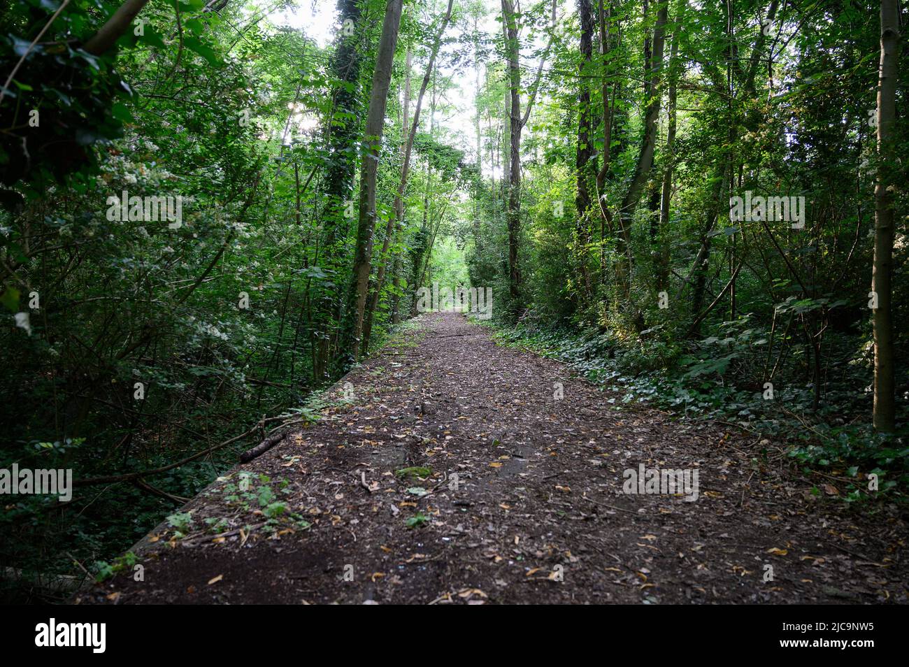 Hidden London - Highgate station Stock Photo - Alamy