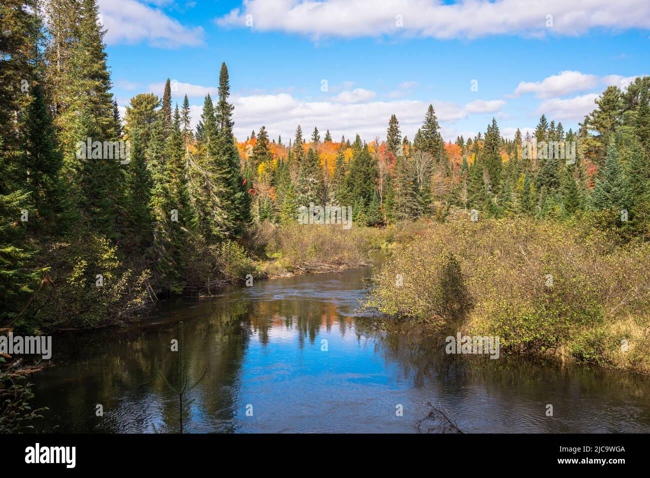 Stream running through a forest at the peak of fall foliage on a sunny day. Blue sky reflecting in water. Stock Photo