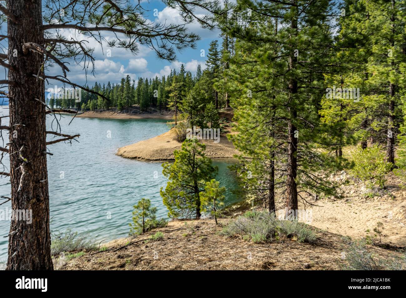 Lake Davis a reservoir located in California Stock Photo Alamy
