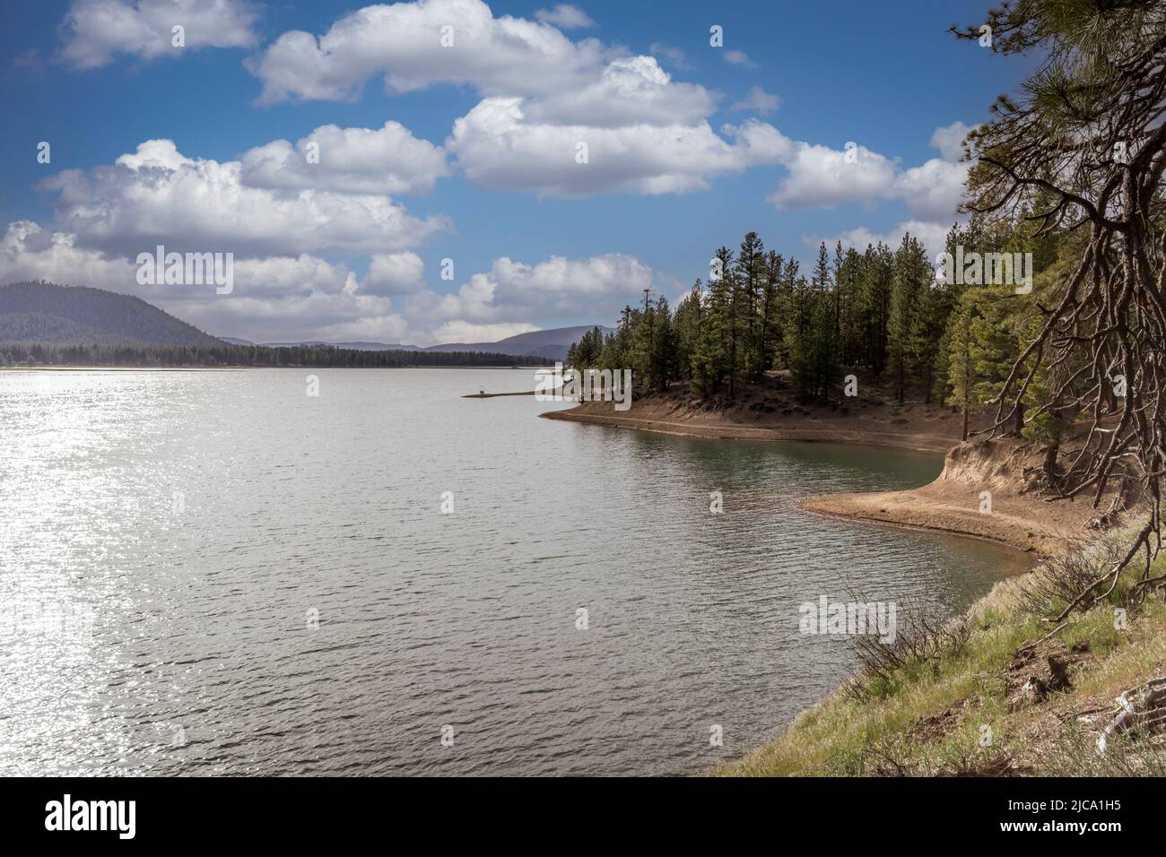 Lake Davis a reservoir located in California Stock Photo Alamy