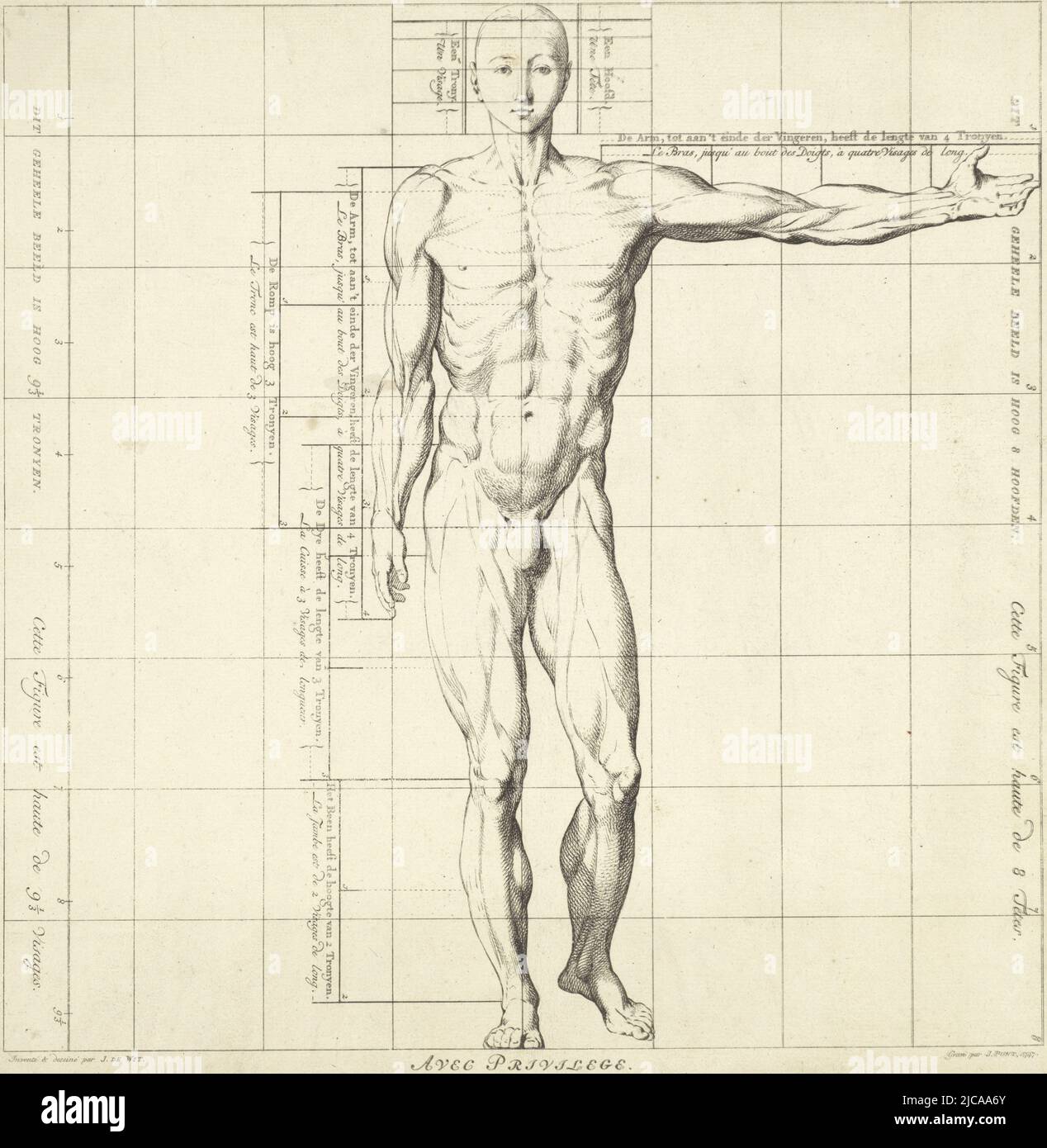 Front view, with one arm outstretched, Proportion study of a man's body Drawing Book of the Proportions of the Human Body Proportions du Corps Humain , print maker: Jan Punt, (mentioned on object), intermediary draughtsman: Jacob de Wit, (mentioned on object), unknown, (mentioned on object), Amsterdam, 1747, paper, etching, engraving, h 389 mm × w 388 mm Stock Photo