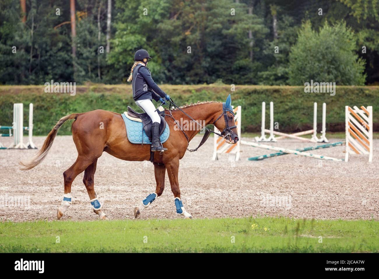 Training process. Young teenage girl riding bay trotting horse on sandy arena practicing at equestrian school. Green nature outdoors horizontal image Stock Photo
