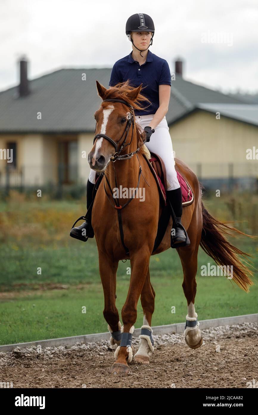 A young and pretty girl is learning to ride a thoroughbred Mare on a summer day at the ranch. Horse riding, training and rehabilitation. Stock Photo