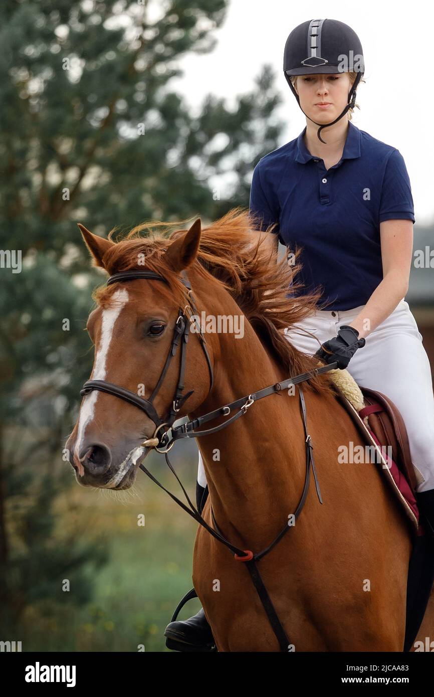 Horse riding - portrait of lovely equestrian on a horse. Stock Photo