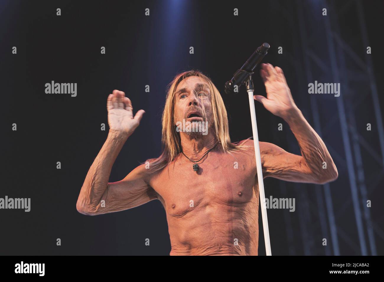 Iggy Pop performs Haven in Copenhagen (Photo by Valeria Magri / SOPA Images/Sipa USA Photo - Alamy