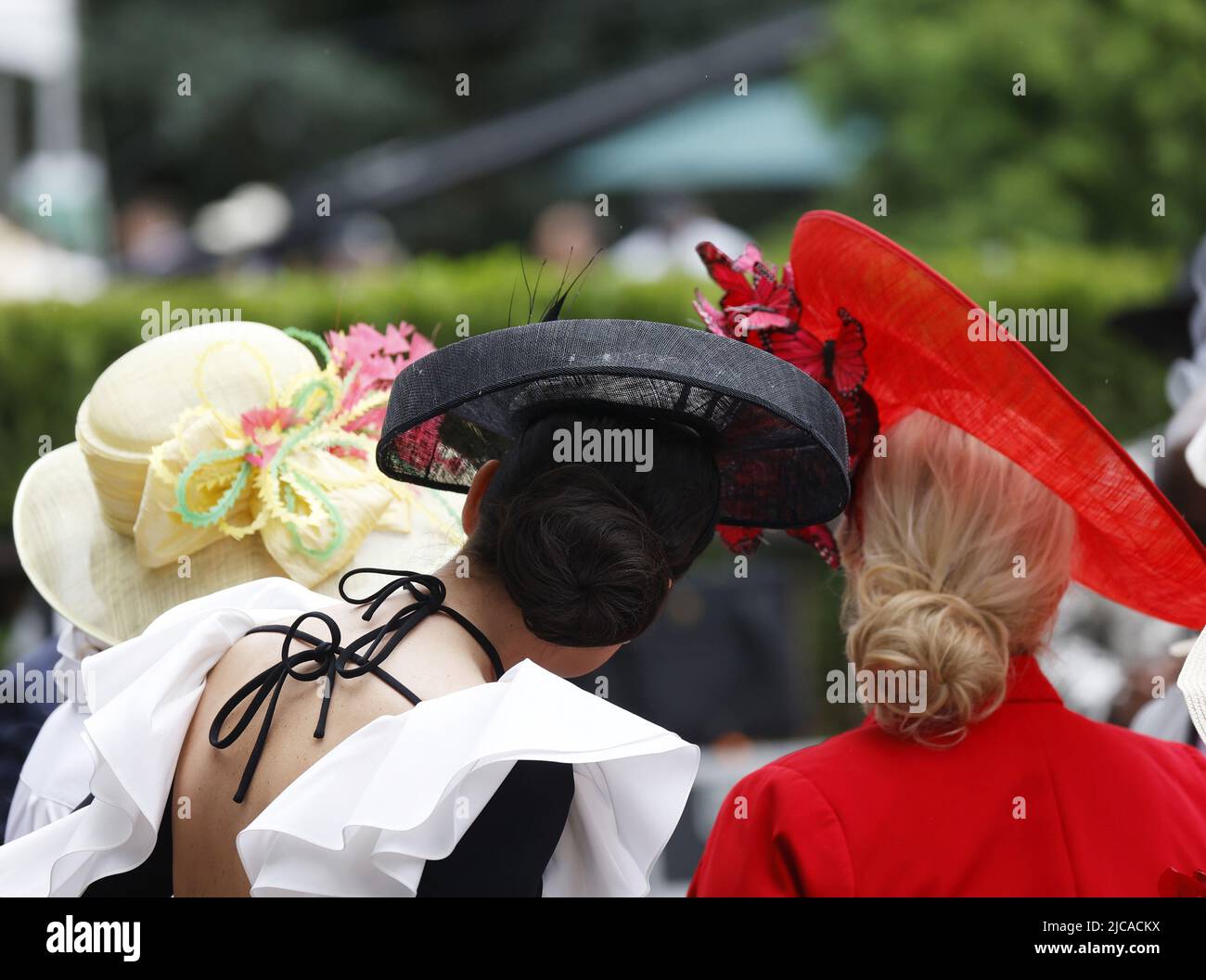The Best Women's Hats to Wear to the Belmont Stakes - Gold Coast