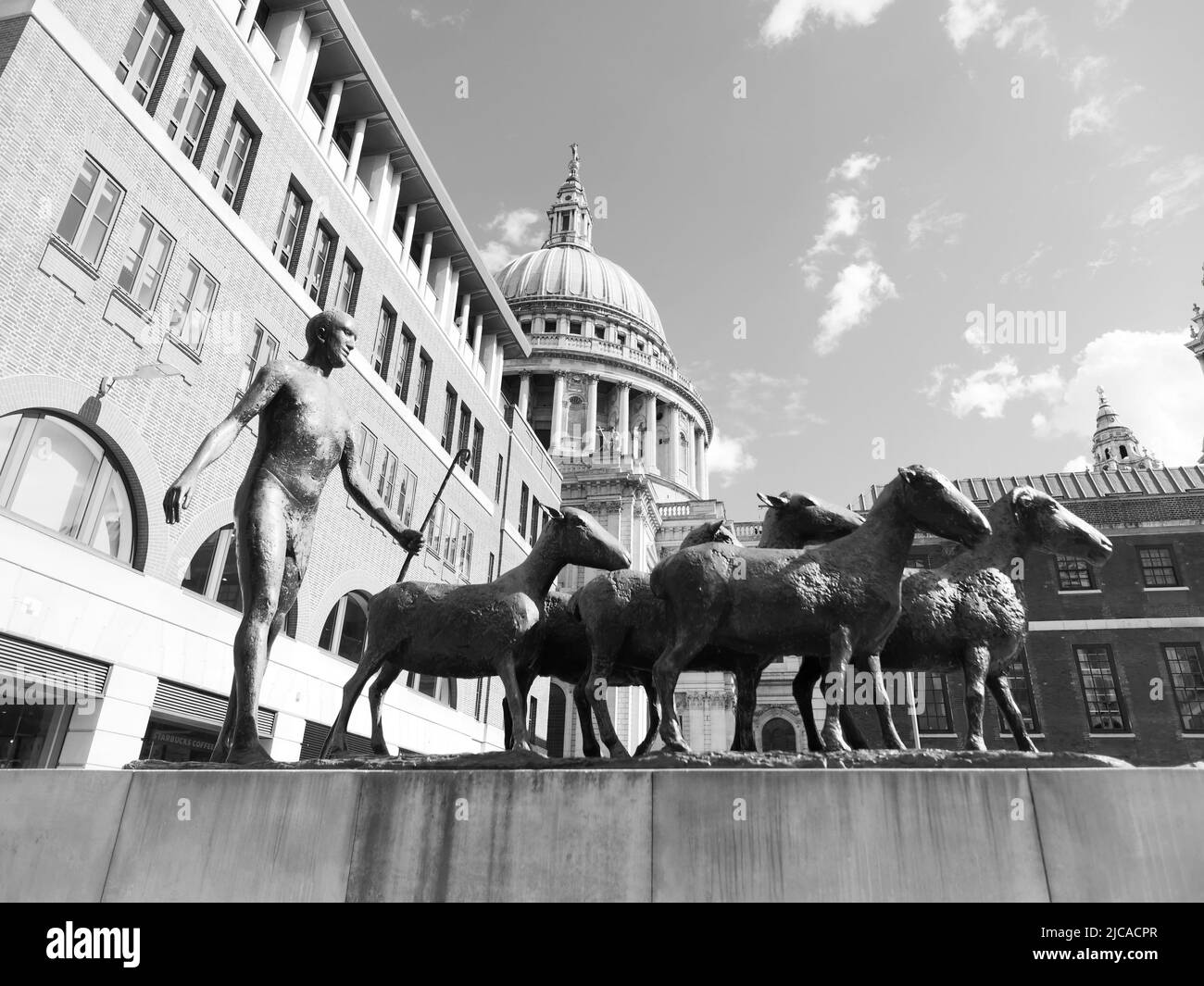 London, Greater London, England, June 08 2022 Monochrome. Shepherd and