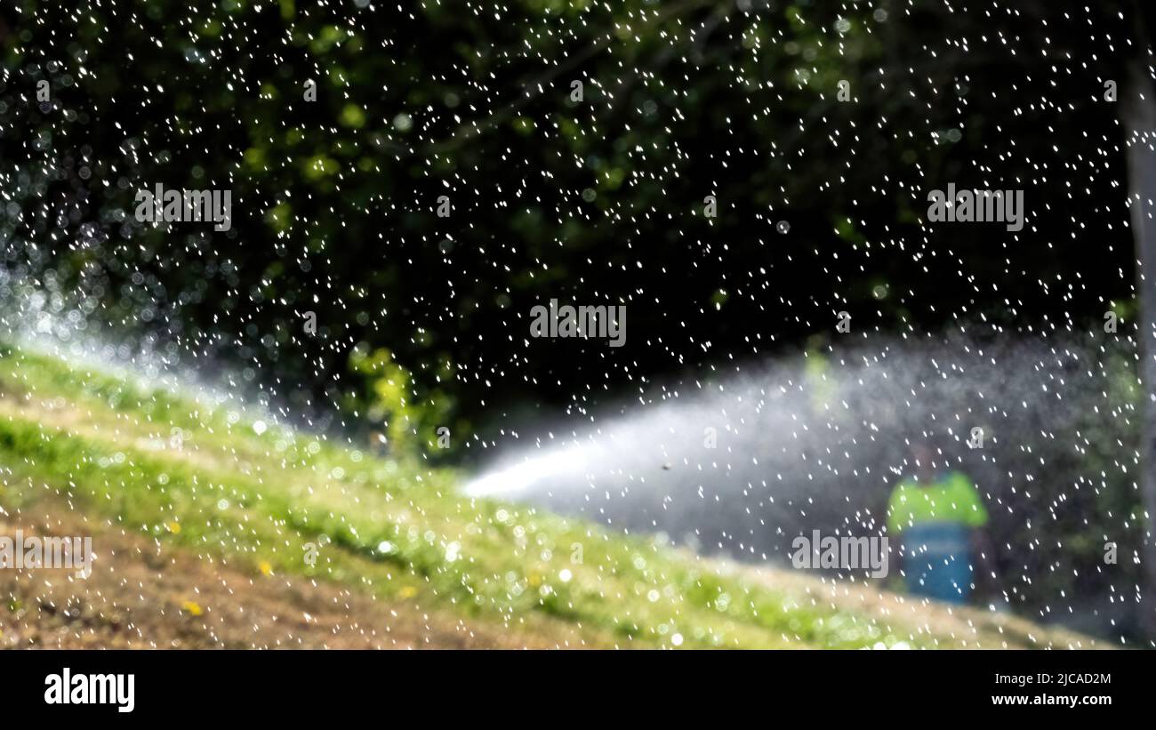 Irrigation of parks and gardens in the city. Moving sprinklers Stock