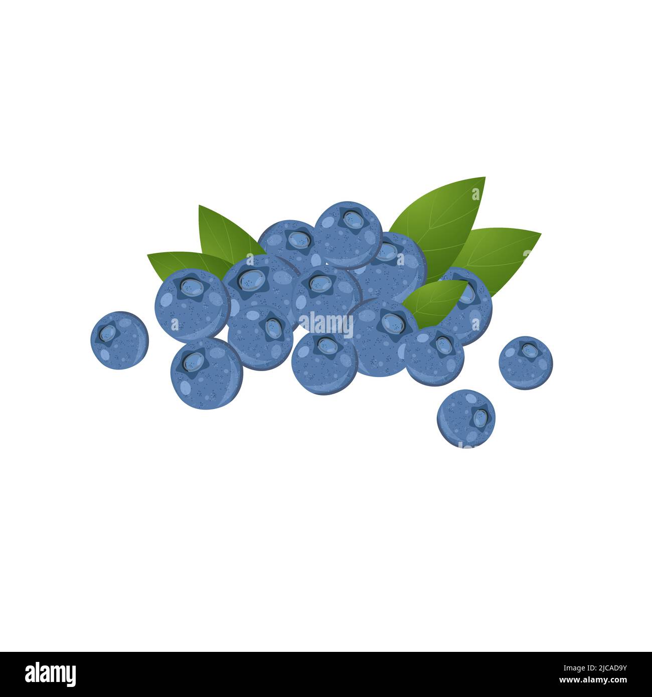 Fresh blueberries, bunch with leaves, flat style vector illustration isolated on white background Stock Vector