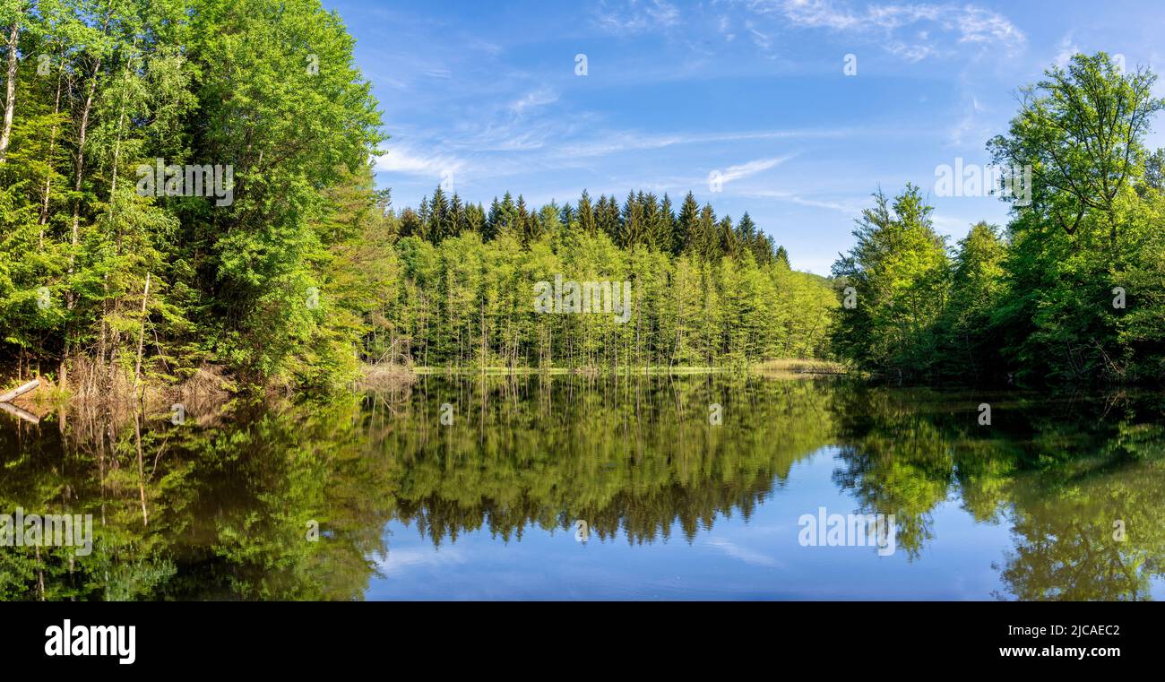 Beautiful Lake in the Spiesswoogtal valley near Fischbach bei Dahn Stock Photo