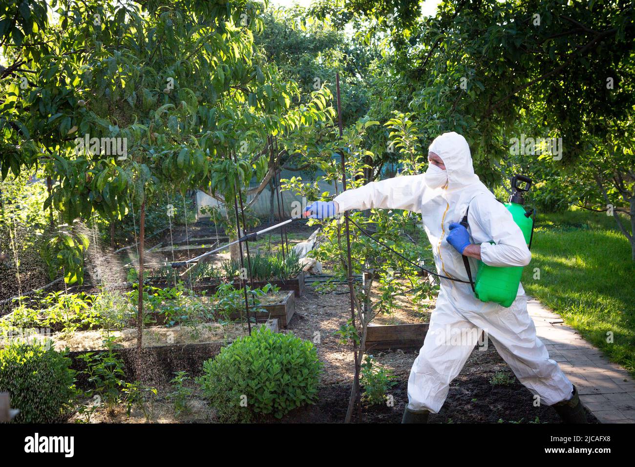 The process of treating plants with pesticides. Farmer in protective ...
