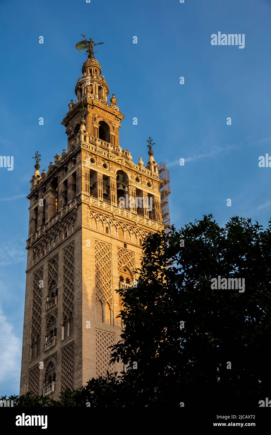 La Giralda is the Cathedral of Sevilla city, Spain Stock Photo