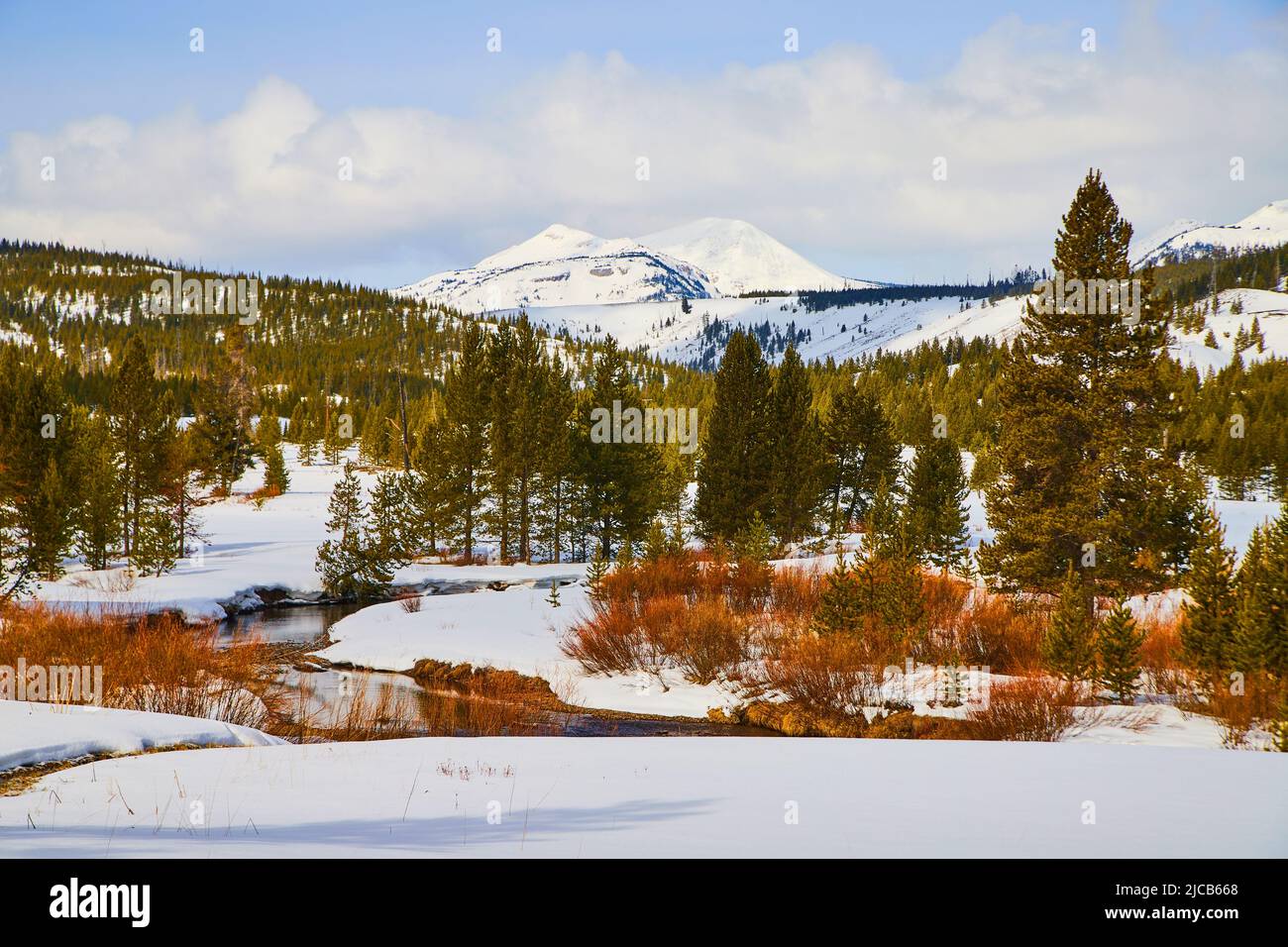 Serene park landscape hi-res stock photography and images - Alamy