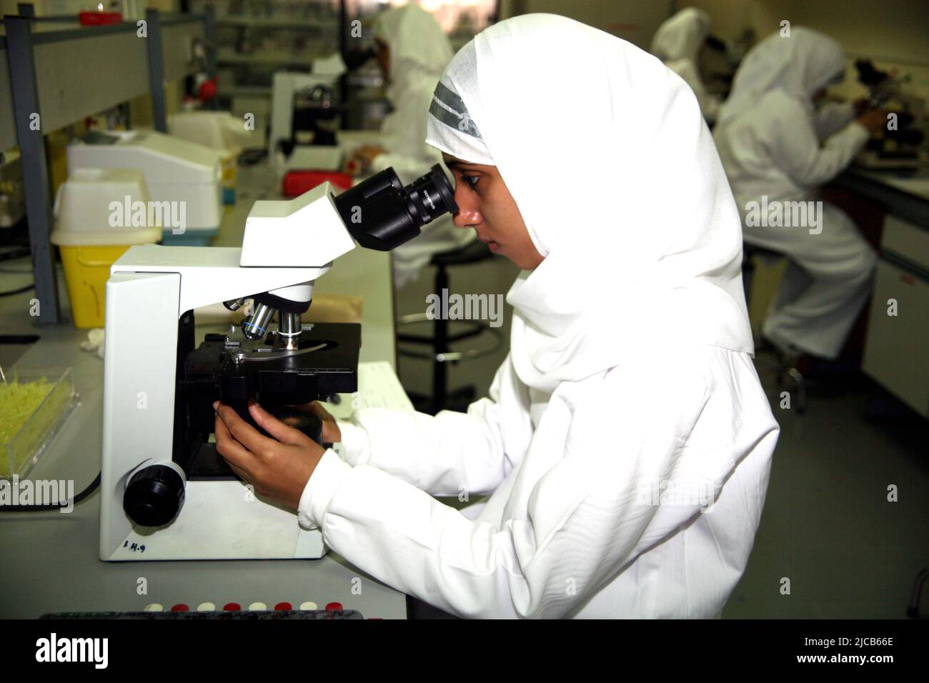 Female student looking through a microscope, haematology lesson, Institute of Health, Muscat, Oman Stock Photo