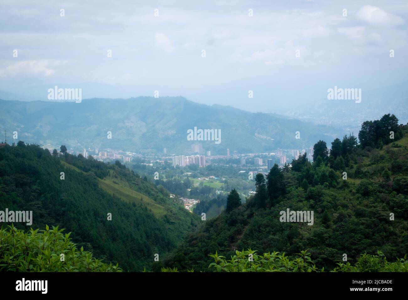 Green tree surrounded by stone hi-res stock photography and images - Alamy