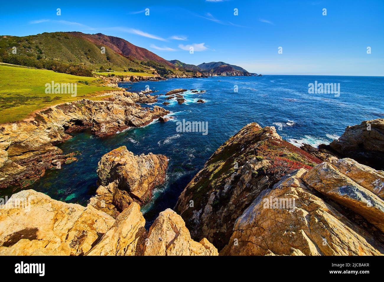 Ocean and cliffs covered in spring flowers Stock Photo - Alamy