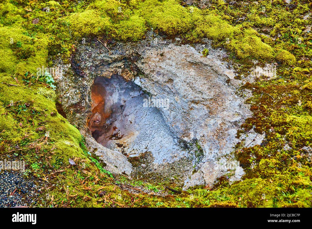 Thermal feature at Yellowstone in basin with mossy grounds Stock Photo