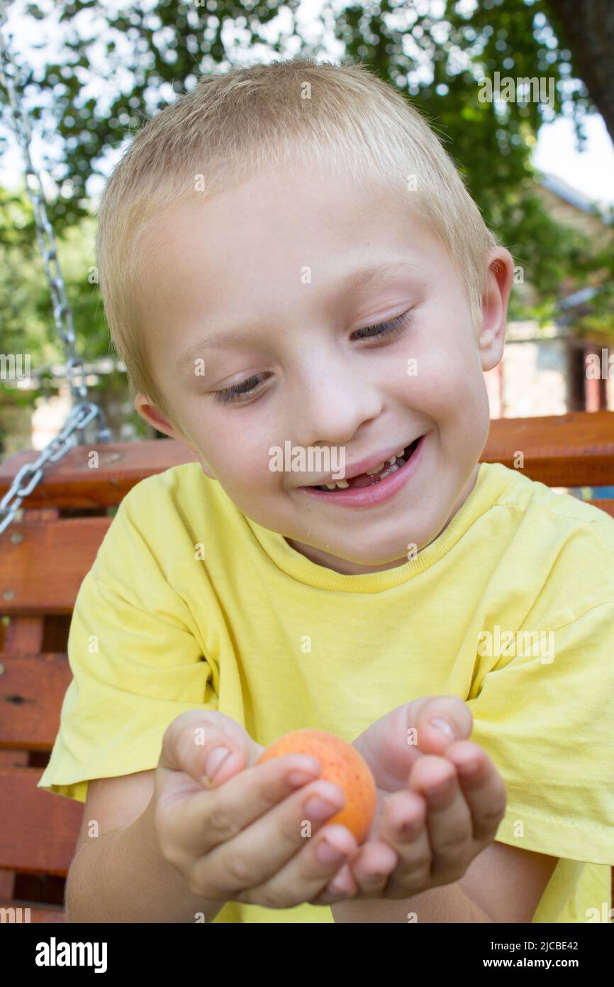 boy looks at his hands holding apricots Stock Photo