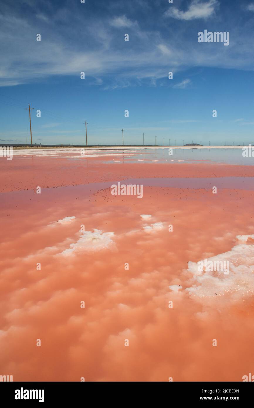 A landscape with Sea salt production ponds with pink water created by salt loving microbes. Stock Photo