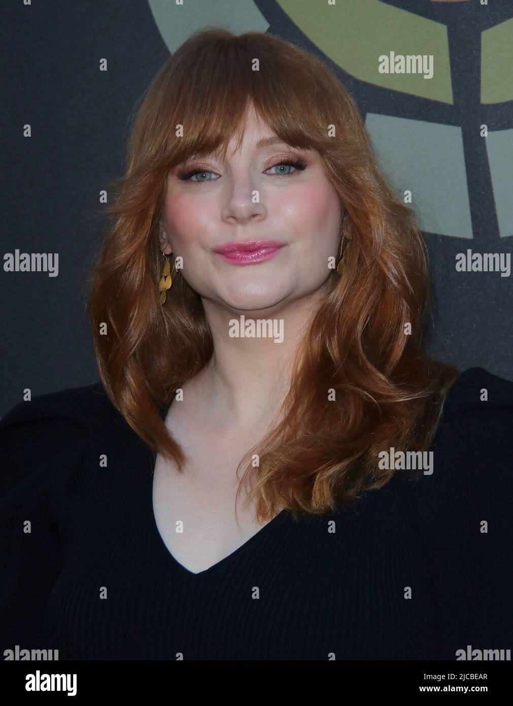 Bryce Dallas Howard arrives at The Charlize Theron Africa Outreach
