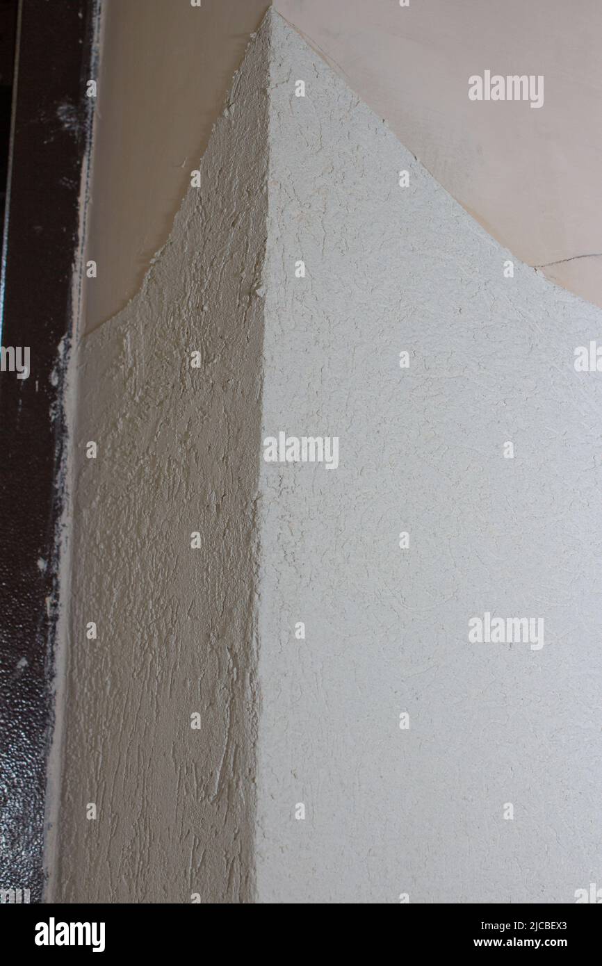 decoration of walls with bark beetle in the hallway during repair Stock Photo