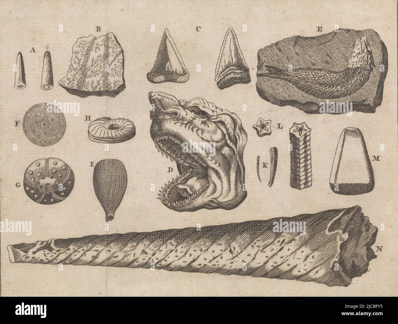 Petrification Draw Petrifications hi-res stock photography and images - Alamy