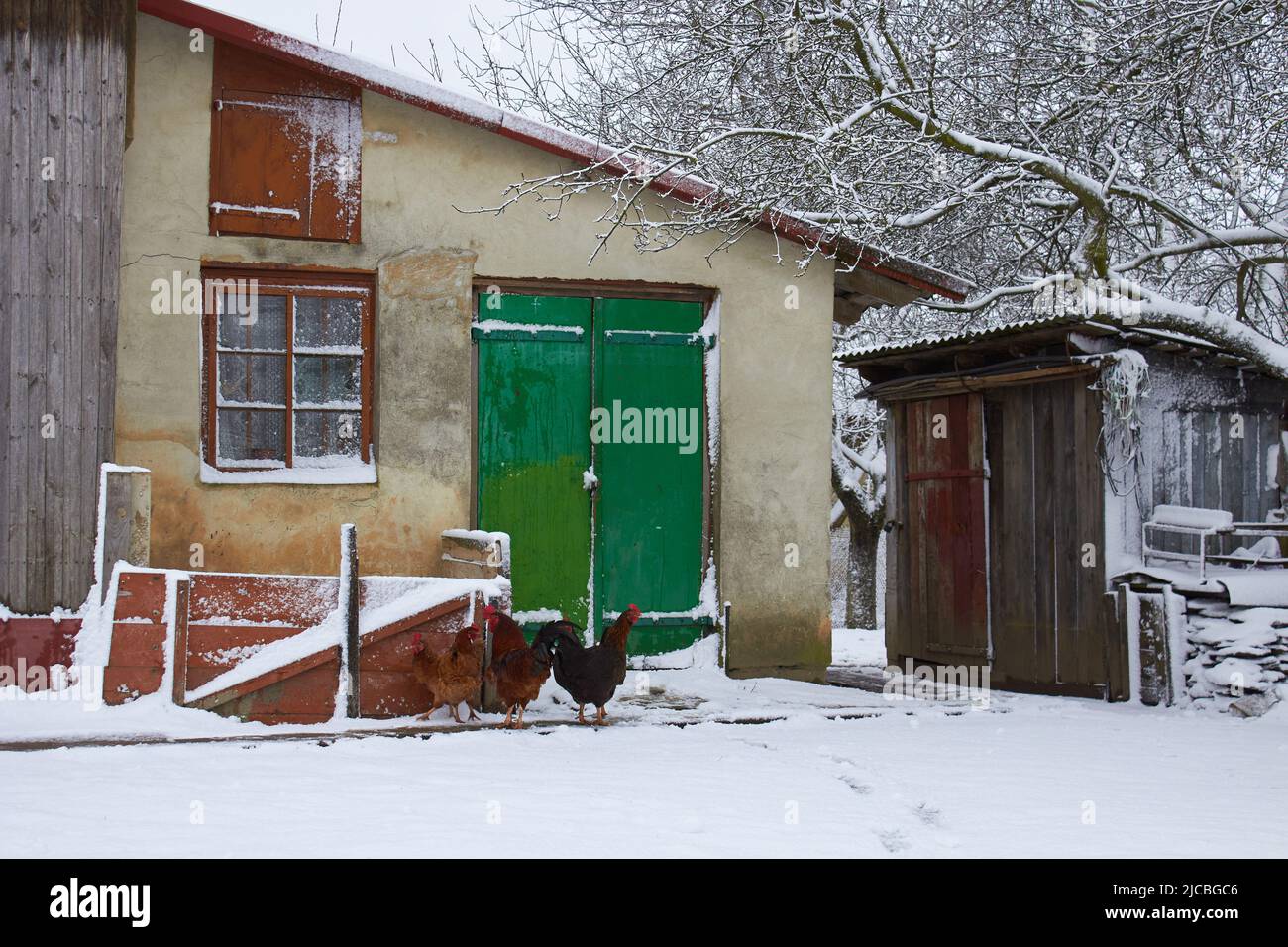 farm and wooden buildings in the village in winter Stock Photo - Alamy