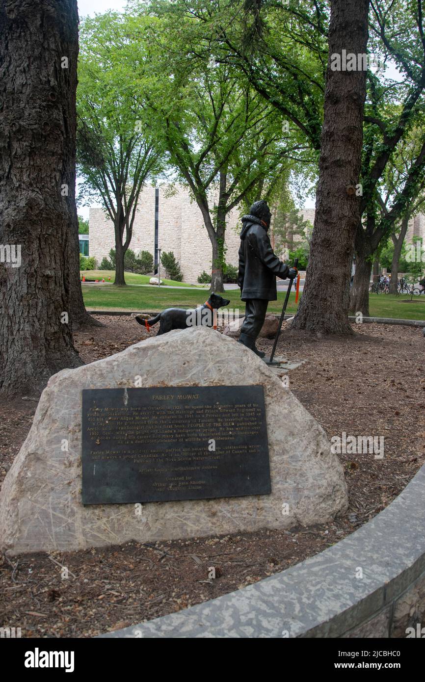 Statue of Farley Mowat at the University of Saskatchewan, Main Campus, Saskatoon, Saskatchewan. Stock Photo