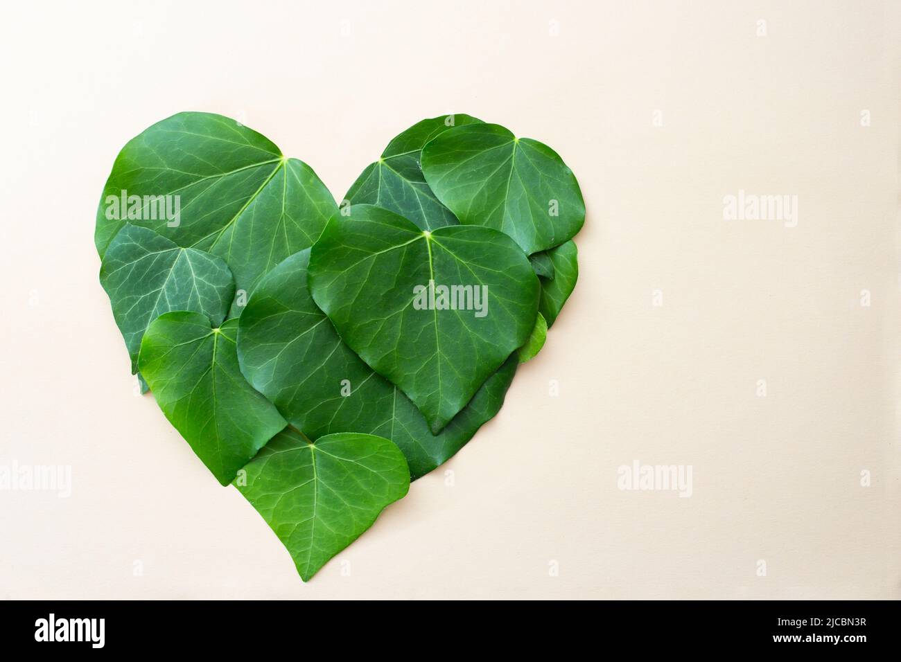 heart shape made of green leaves, isolated on beige background. Flat lay close up, natural mockup. Stock Photo