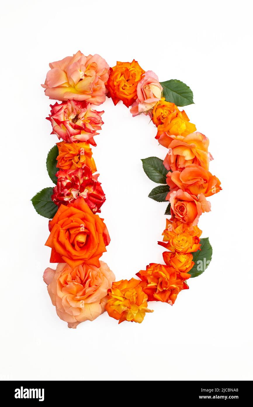 Capital letter D made with red orange roses, isolated on white background Stock Photo