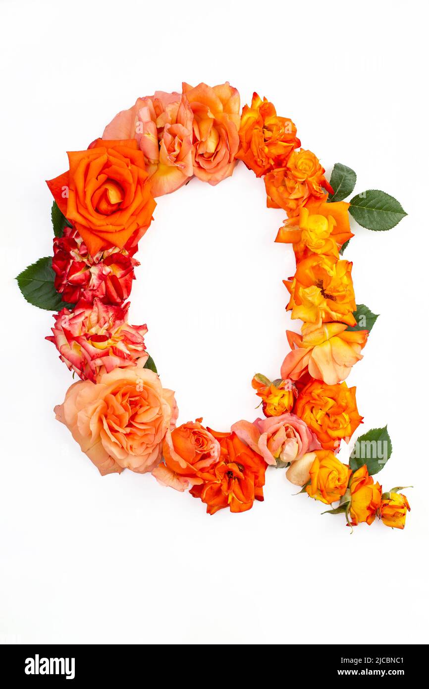 Capital letter Q made with red orange roses, isolated on white background Stock Photo