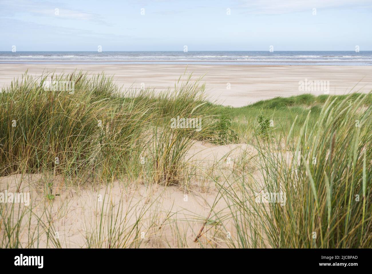 Overlooking the long marram grass on the sand dunes which line Ainsdale beach on the Sefton coast near Southport. Stock Photo