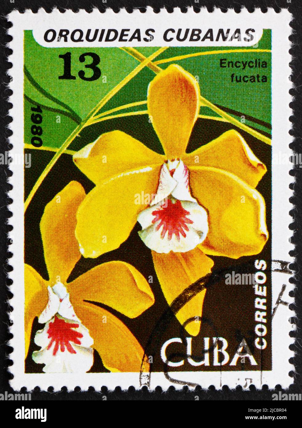 CUBA - CIRCA 1980: a stamp printed in the Cuba shows Brown Veined Encyclia, Encyclia Fucata, Orchid, circa 1980 Stock Photo