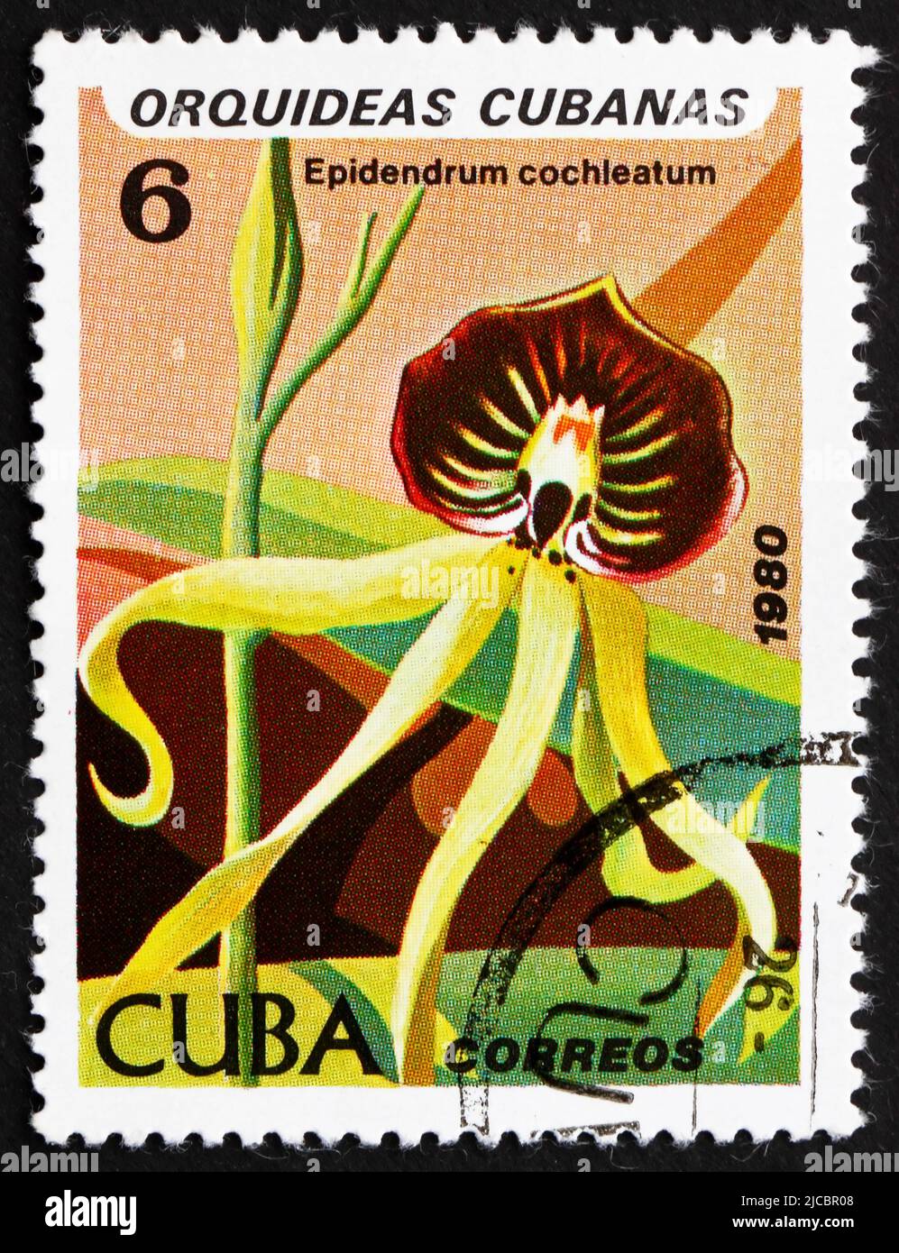 CUBA - CIRCA 1980: a stamp printed in the Cuba shows Black Orchid, Epidendrum Cochieatum, Orchid, circa 1980 Stock Photo