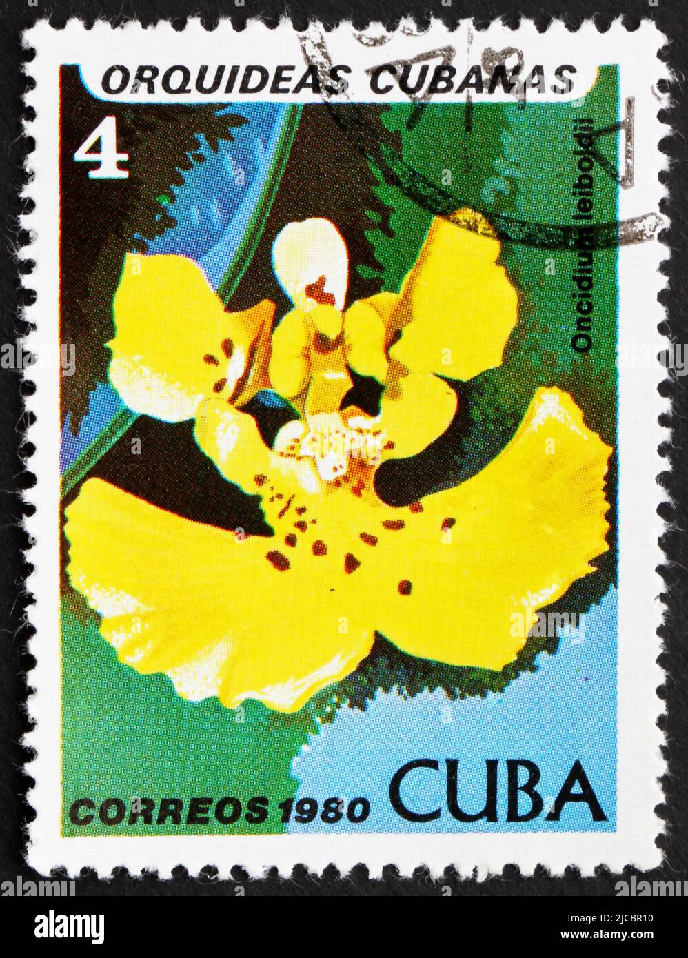 CUBA - CIRCA 1980: a stamp printed in the Cuba shows Oncidium Leiboldii, Orchid, circa 1980 Stock Photo