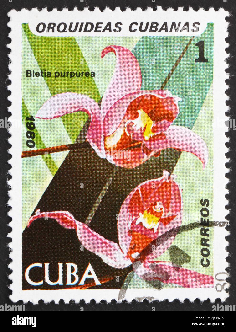 CUBA - CIRCA 1980: a stamp printed in the Cuba shows Pine Pink, Bletia Purpurea, Orchid, circa 1980 Stock Photo