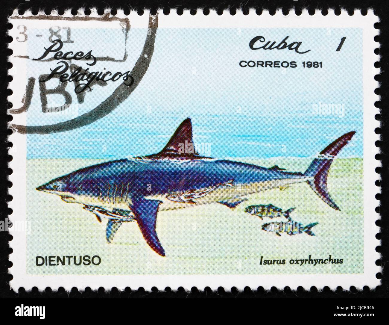 CUBA - CIRCA 1981: a stamp printed in the Cuba shows Shortfin Mako Shark, Isurus Oxyrhynchus, Pelagic Fish, circa 1981 Stock Photo