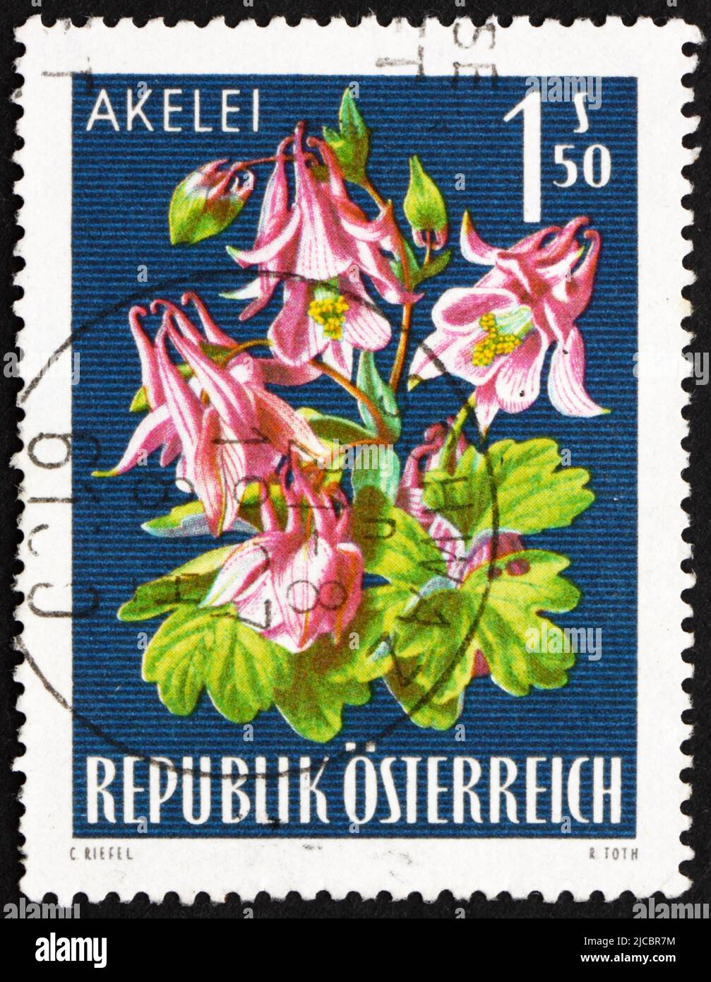 AUSTRIA - CIRCA 1966: a stamp printed in the Austria shows Columbine, Alpine Flower, circa 1966 Stock Photo