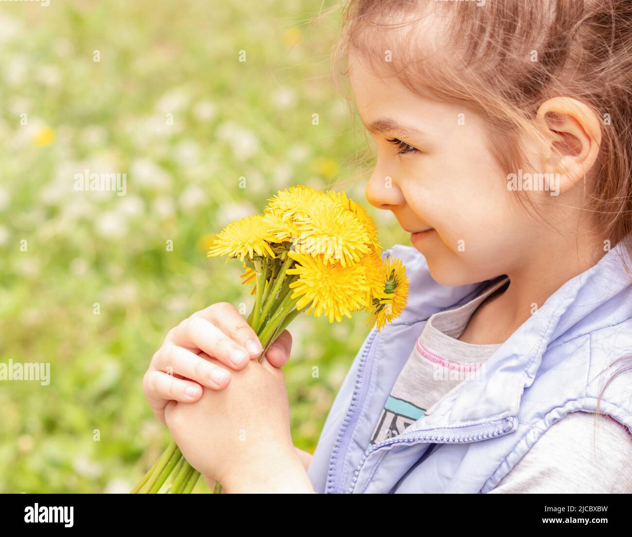 Cute little girl with yellow dandelions on a sunny day on a green ...