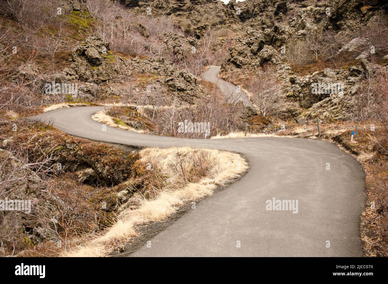 Winding asphalt path in a lavafield with low vegetation in the