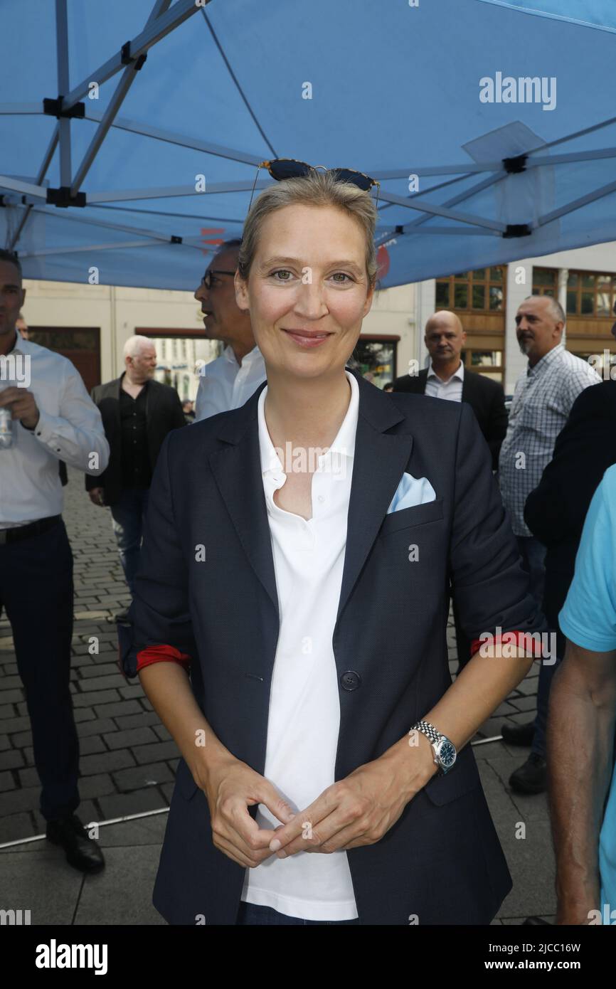 Alice Weidel beim Landratswahlkampf für Sebastian Wippel am Marienplatz. Görlitz, 11.06.2022 Stock Photo