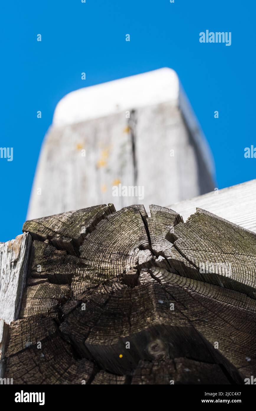 Den Helder, the Netherlands, May 2022. Close up of the structure of wood of an old mooring pole. . High quality photo Stock Photo