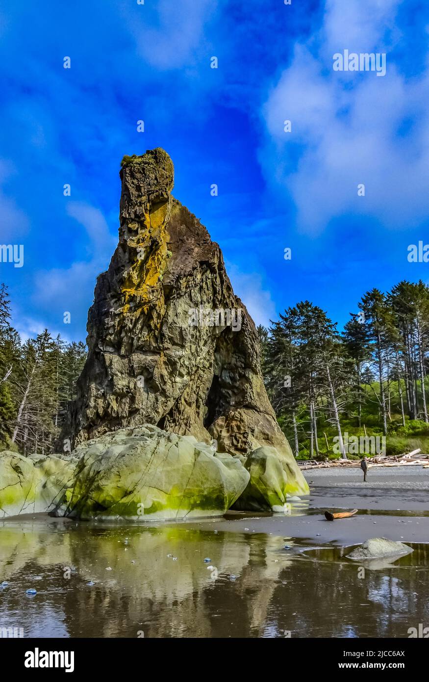 Marine landscape. Small islands and rocks on the shores of the Pacific ...